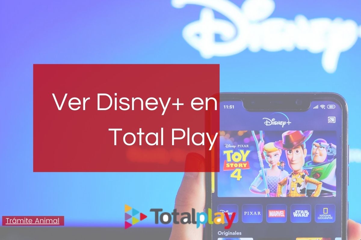 Cómo ver Disney+ en Totalplay