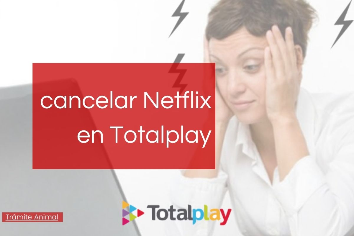 Cómo cancelar Netflix en Totalplay