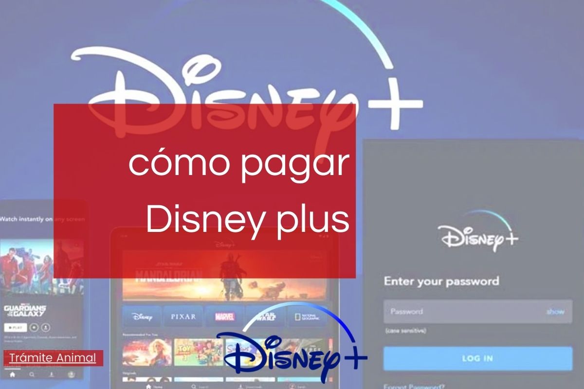Cómo pagar Disney Plus en linea