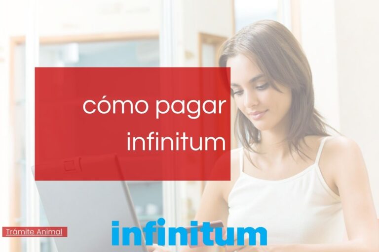 Cómo cancelar Infinitum en 2021 •【Actualizado】