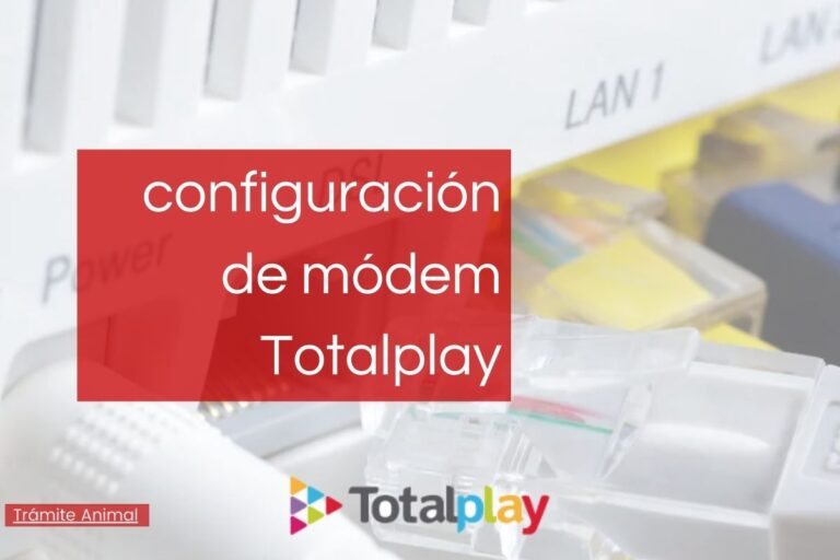 izzi vs Totalplay cuál es mejor en 2021