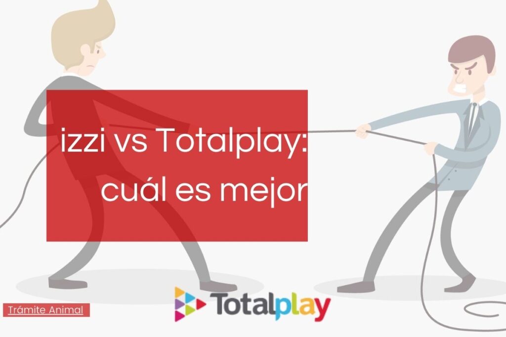 izzi vs Totalplay cuál es mejor en 2021