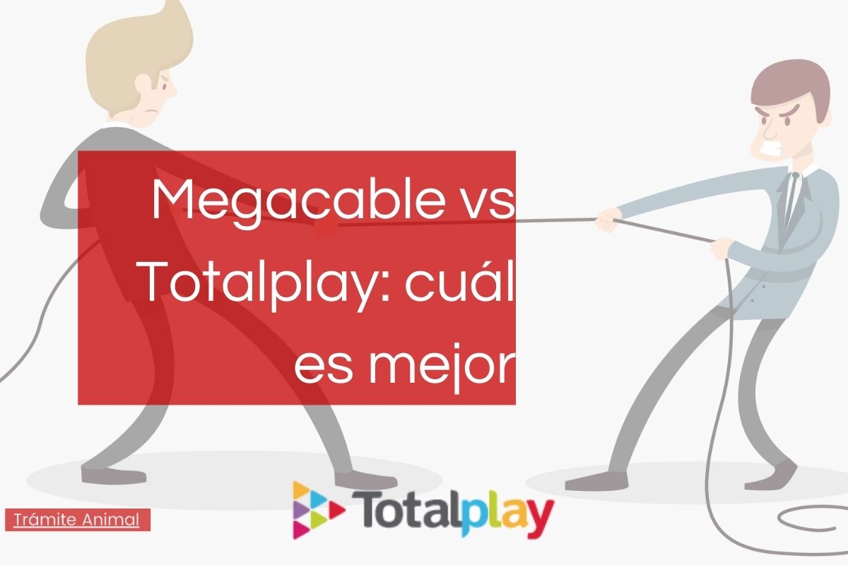 Megacable vs Totalplay comparativa