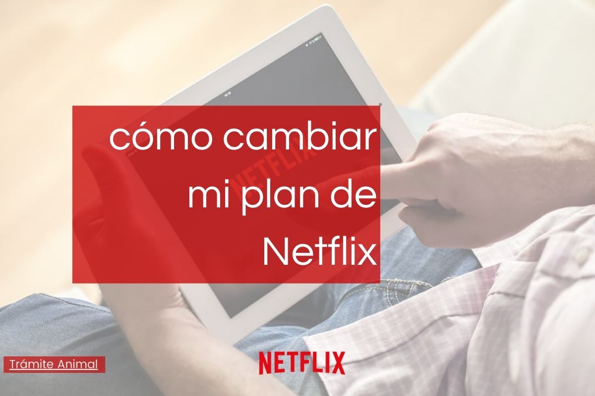 Cómo cambiar un plan de Netflix
