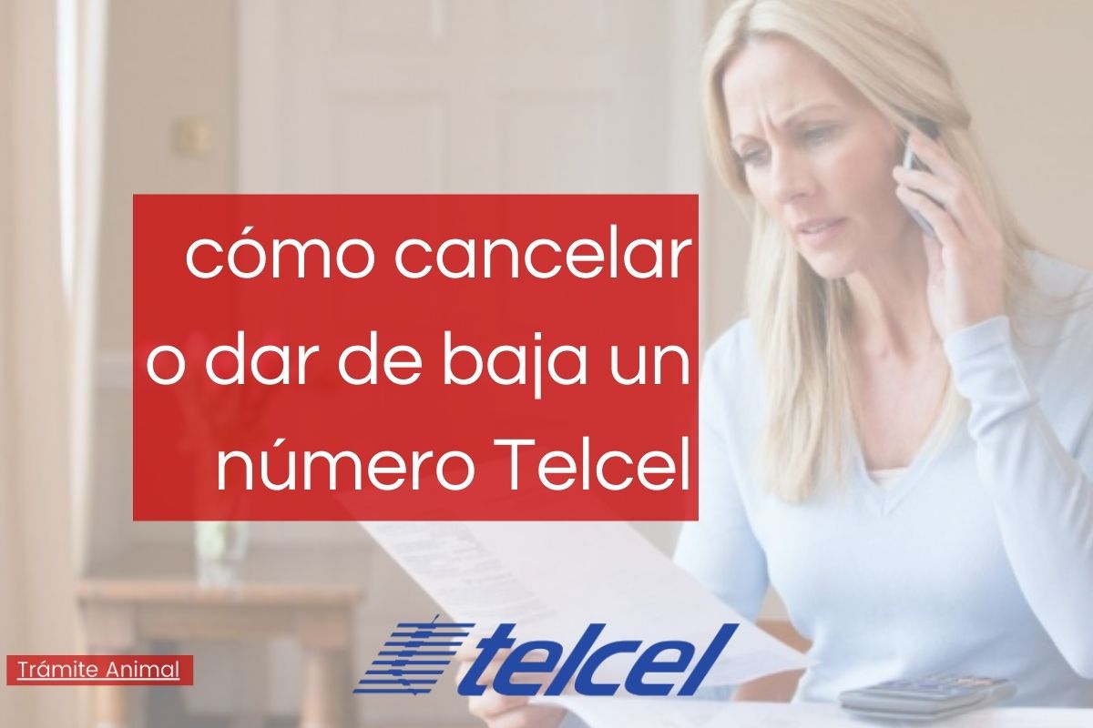 Cómo dar de baja a un número Telcel