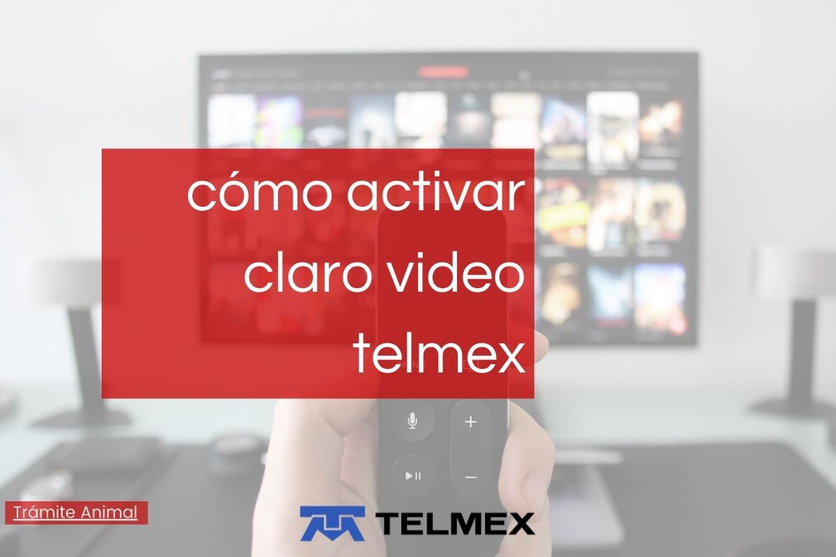 Cómo activar claro video en Telmex
